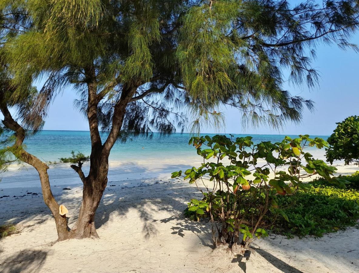 Kijani Beach Villas Bwejuu Luaran gambar